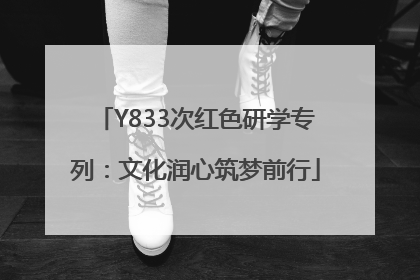 Y833次红色研学专列：文化润心筑梦前行